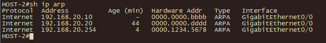 HOST-2 ARP Entries