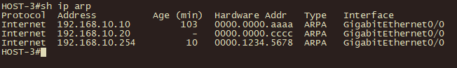 HOST-3 ARP Entries
