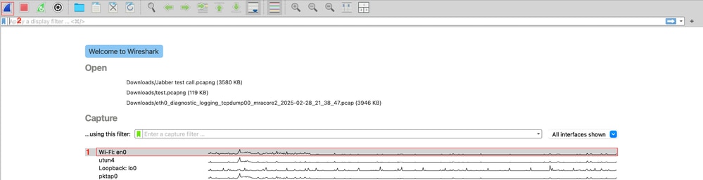 Start Wireshark Pcap