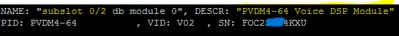 Command Output showing the PVDM Card is Installed on NIM Slot