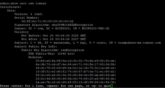 CLI Output 2