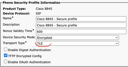 marcoalh_2-1772087856426