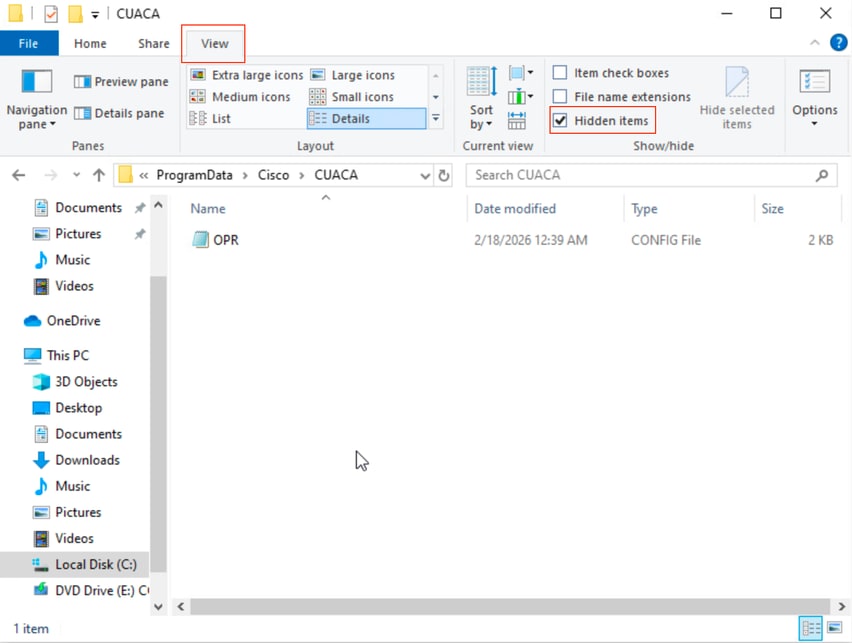 Windows File Explorer
