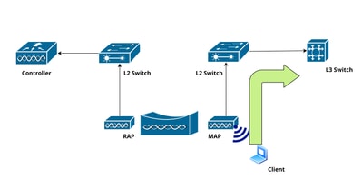 Network Topology