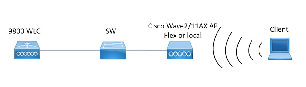 Client troubleshooting topology
