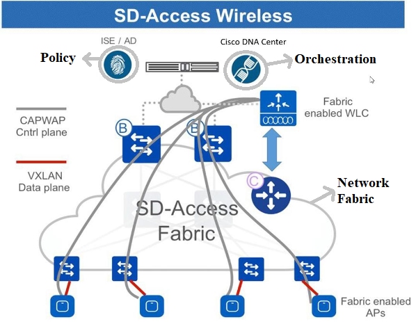 Elements of Network Fabric