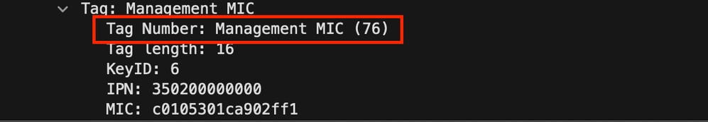 Management MIC