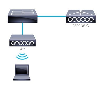 Topology of LWA with LA