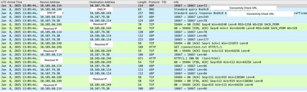 Network Connectivity Status Check on Anchor Controller
