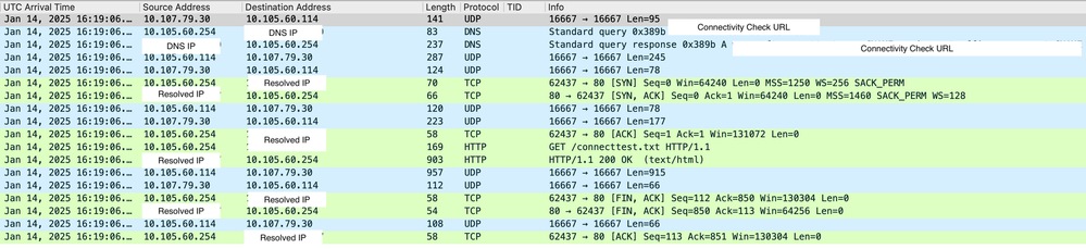 Network Connectivity Status Check on Anchor Controller