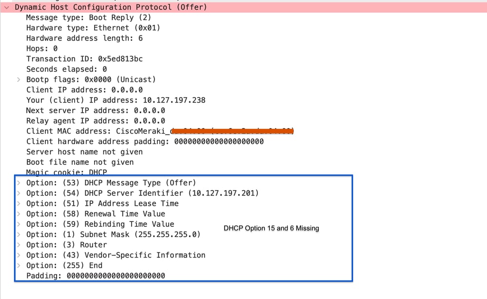 AP Uplink Capture: DNS Server and Domain Name Missing on DHCP Response