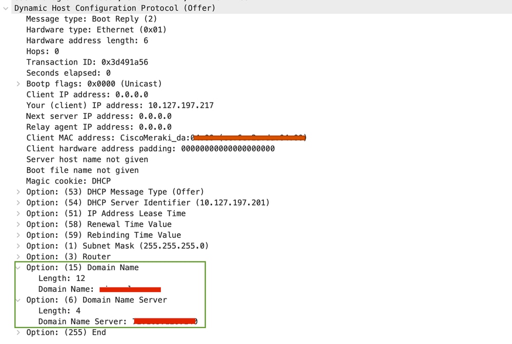 AP Uplink Capture : Valid DNS Server and Domain Name Present on DHCP Response