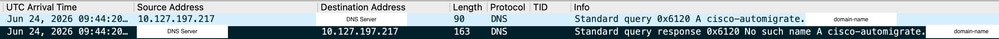 AP Uplink Capture: Resolution Failure for Hostname