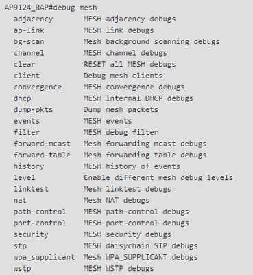 RAP/MAP debug mesh options
