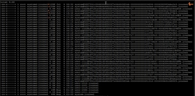 Journal Log Output