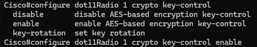 dot11Radio 1 crypto key-control