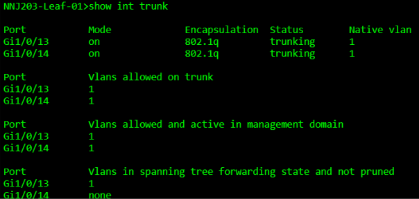A computer screen with green textAI-generated content may be incorrect.