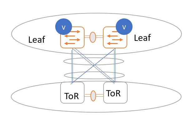 A diagram of a plantDescription automatically generated