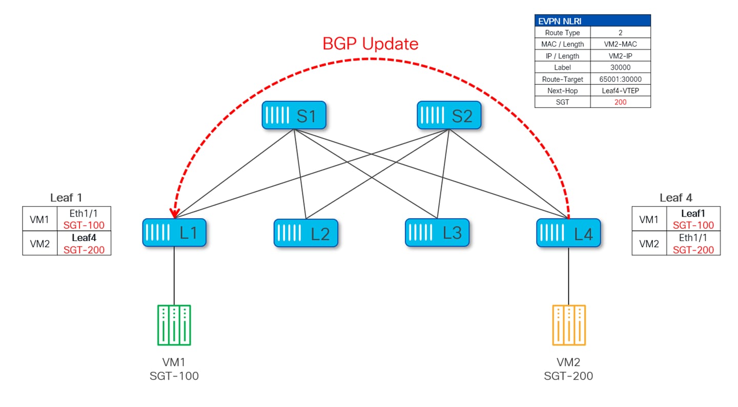 A diagram of a networkAI-generated content may be incorrect.
