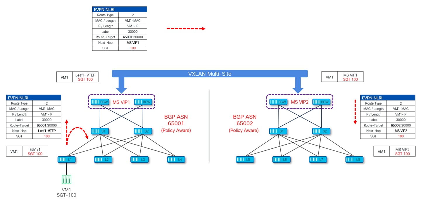 A diagram of a diagramAI-generated content may be incorrect.