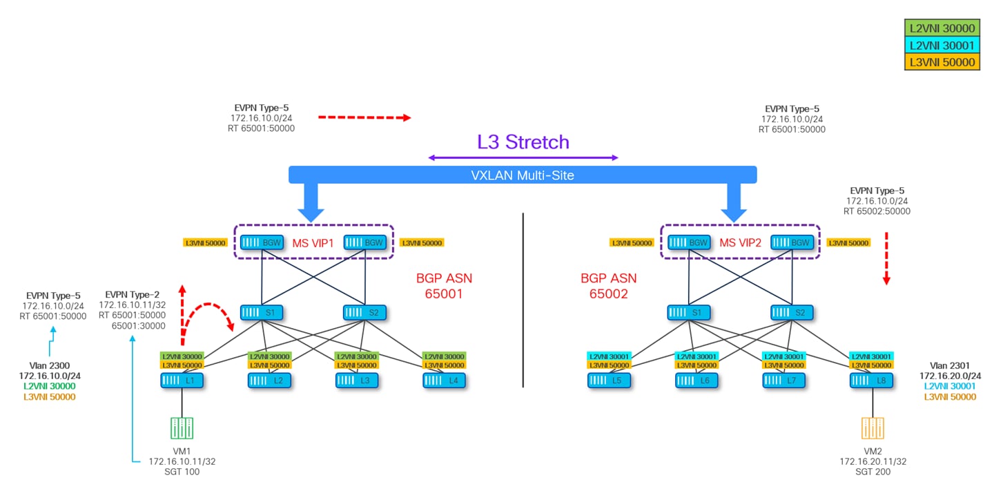 A diagram of a diagramAI-generated content may be incorrect.