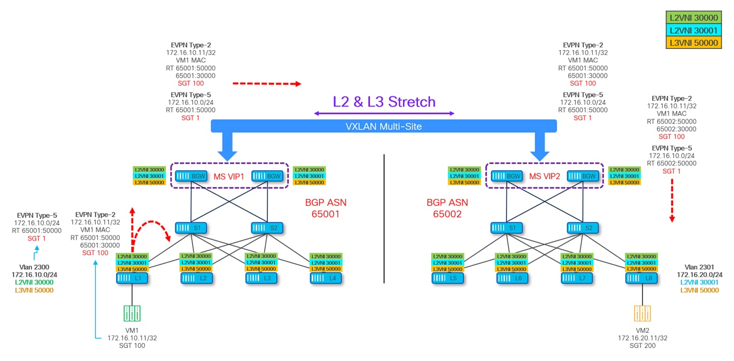 A diagram of a networkAI-generated content may be incorrect.