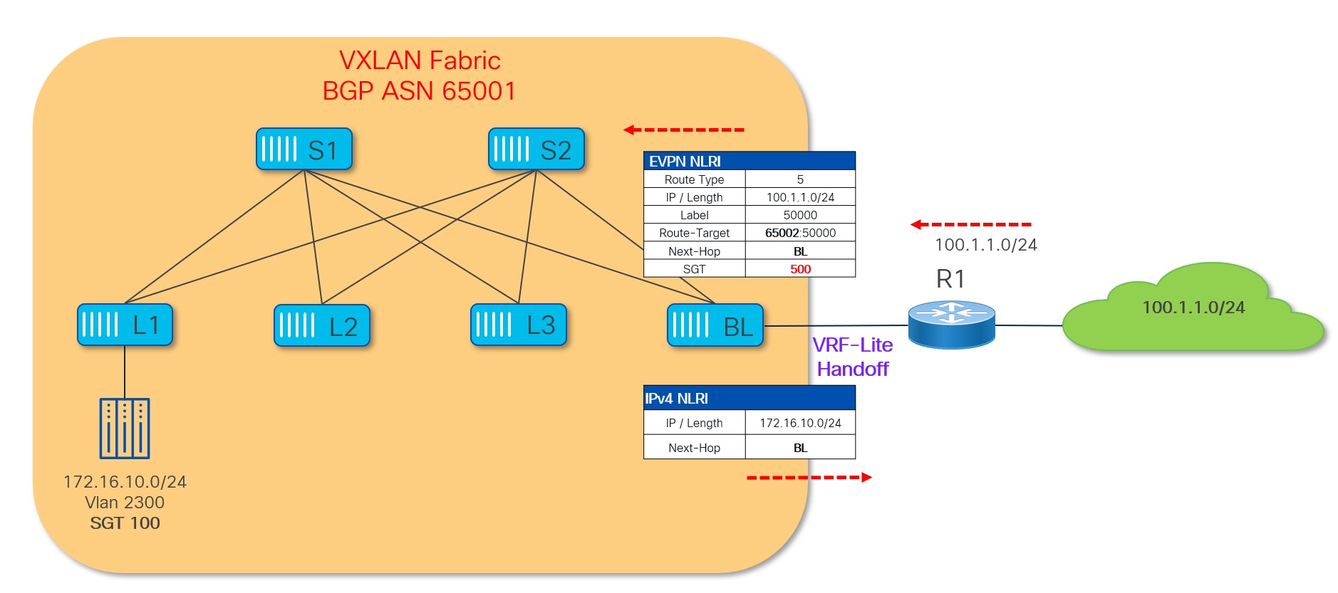 A diagram of a computer networkAI-generated content may be incorrect.