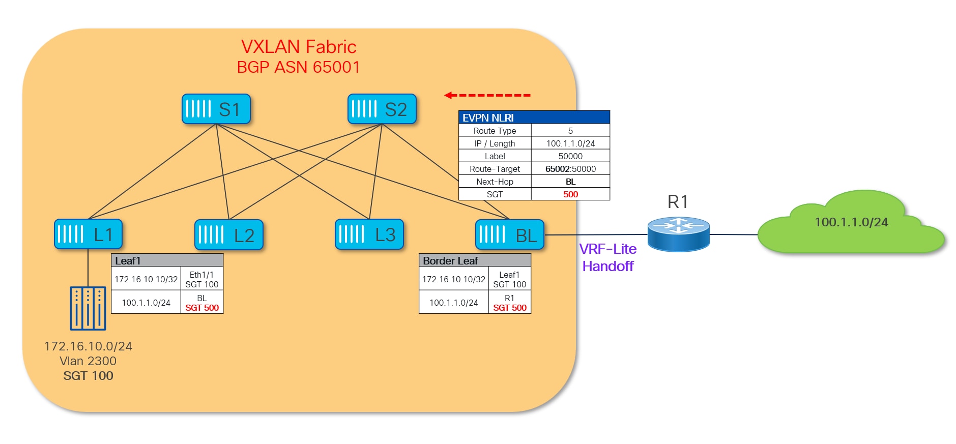 A diagram of a computer networkAI-generated content may be incorrect.