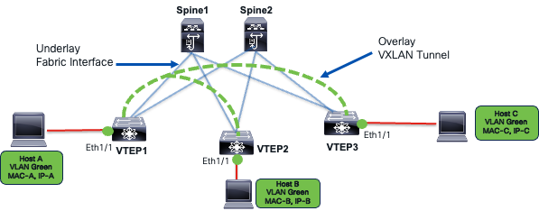 A diagram of a networkAI-generated content may be incorrect.