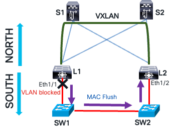 A diagram of a computer networkAI-generated content may be incorrect.
