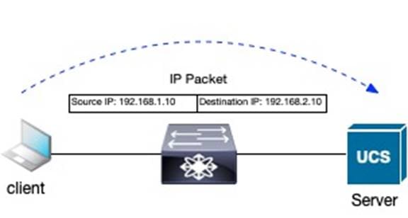 A close-up of a packetDescription automatically generated with low confidence