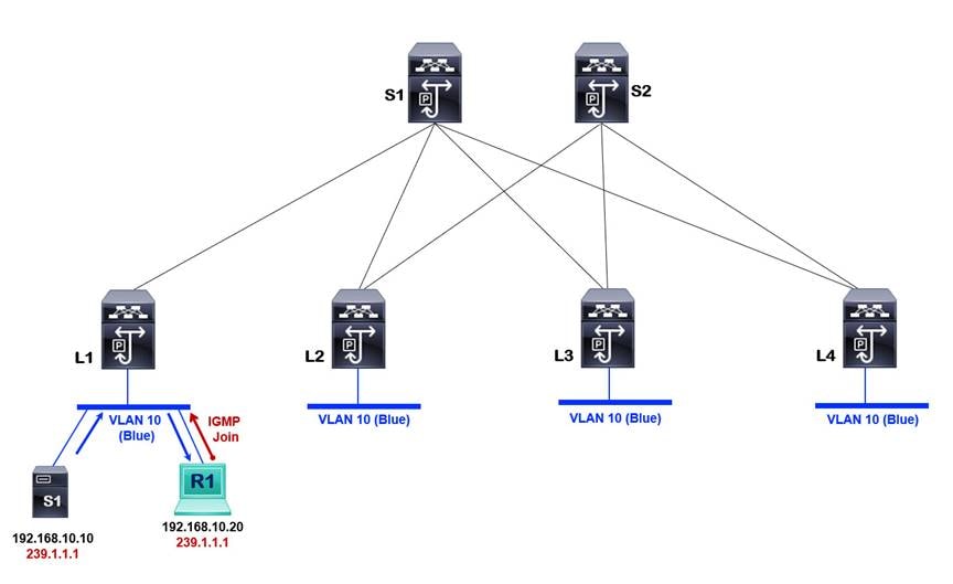 A diagram of a networkDescription automatically generated with low confidence