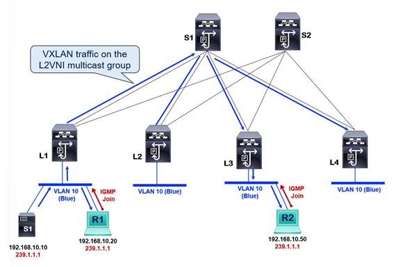 A diagram of a networkDescription automatically generated with low confidence