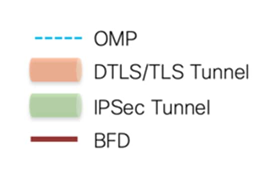 A close-up of several different colored tubesDescription automatically generated