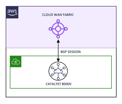 A diagram of a cloud fabricDescription automatically generated