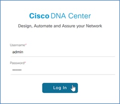 cisco