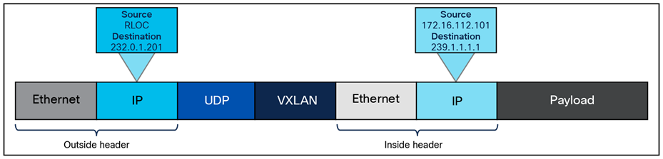 SD-Access native multicast packet