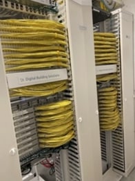 A close-up of several yellow wiresDescription automatically generated