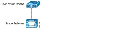 n5600_upgrade_downgrade_7315_n1_1-18.jpg