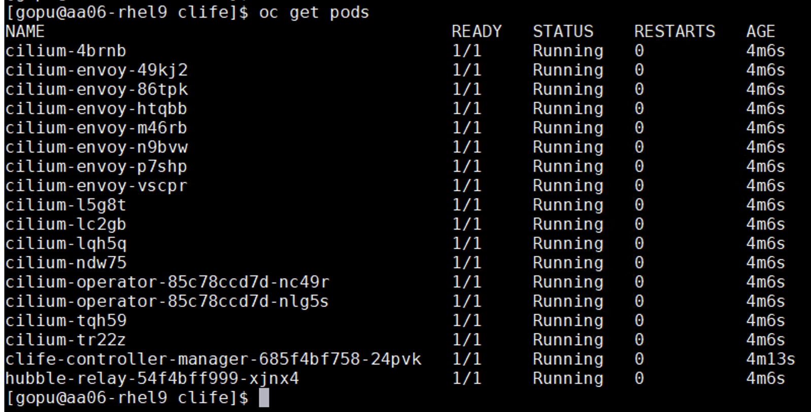 [ gopu@aa06- rhe19 clife]$ oc get podsNAMEREADYSTATUSRESTARTSAGEcilium-4brnb1/1Running04m6scilium-envoy - 49kj 21/1Running4m6scilium-envoy-86tpk1/1Running04m6scilium-envoy-htqbb1/1Running4m6scilium-envoy-m46rb1/1Running04m6scilium-envoy-n9bvw1/1Running04m6scilium-envoy-p7shp1/1Running04m6scilium-envoy - vscpr1/1Running04m6scilium-15g8t1/1Running04m6scilium-lc2gb1/1Running4m6scilium- 1qh5q1/1Running4m6scilium-ndw751/1Running4m6scilium-operator-85c78ccd7d-nc49r1/1Running04m6scilium-operator-85c78ccd7d-nlg5s1/1Running04m6scilium-tqh591/1Running04m6scilium-tr22z1/1Running04m6sclife-controller-manager-685f4bf758-24pvk1/1Running4m13shubble- relay -54f4bff999-xjnx41/1Running04m6s[ gopu@aa06 - rhel9 clife]$