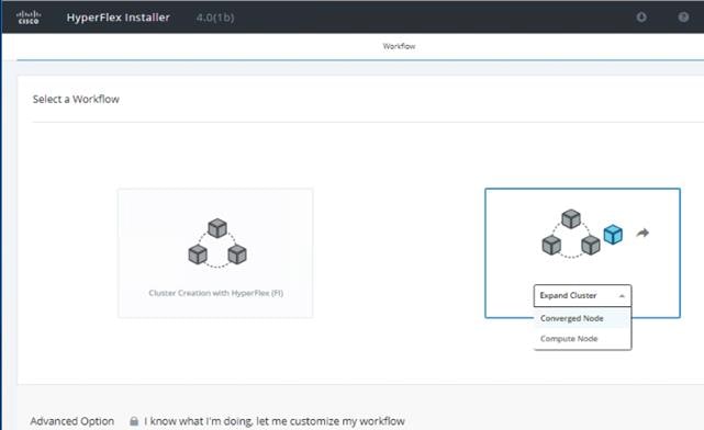 Machine generated alternative text:HyperFIex InstallerSelect a WorkflowAdvanced OptionNodeC ModeI know what I'm doing let me customize my workflow