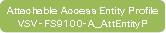 Attachable Access Entity ProfileVSV-FS9100-A_AttEntityP