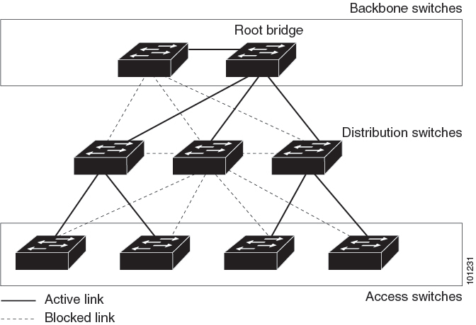 Switches in a Hierarchical Network
