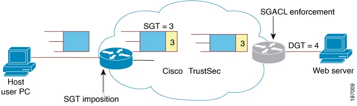 A Cisco TrustSec Network with SGT support