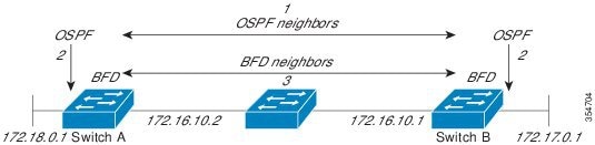ネイバー関係は BFD を使用して確立されます