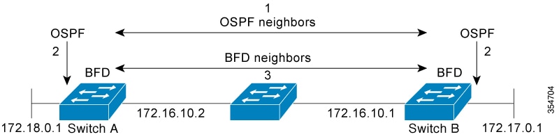 Neighbor relationships are established using BFD
