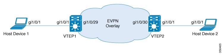 Topology for an EVPN VXLAN Layer 3 overlay with 2 VTEPs that are connected to perform routing