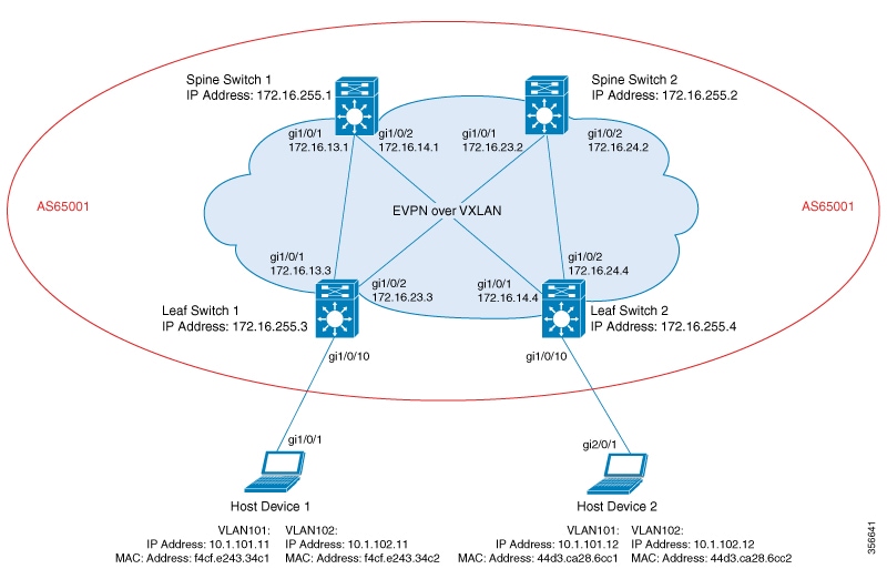 Sample topology for BGP EVPN VXLAN network where the Spine and Leaf switches are in the same autonomous system.