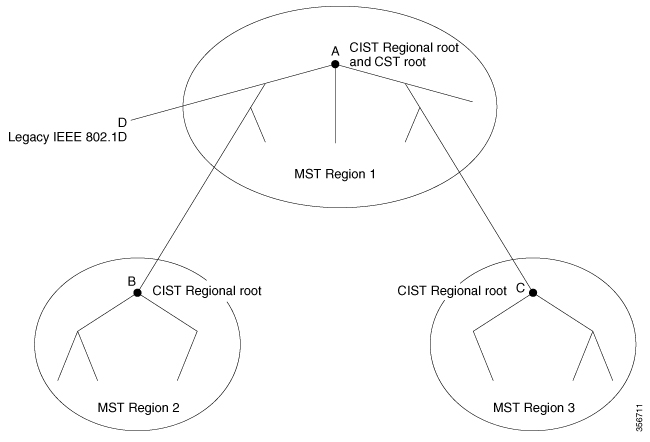 MST regions, CIST regional root, and CST root