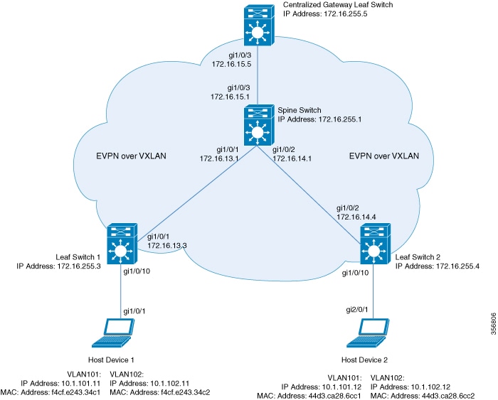 Topology for EVPN VXLAN network with centralized default gateway